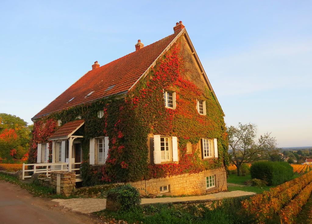 La Passerelle Des Corton B&B Aloxe-Corton ภายนอก รูปภาพ